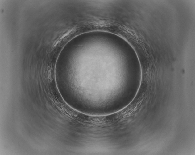 X0000090491205200707131319