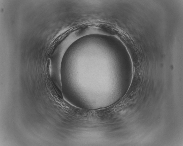 X0000090491206200707131319