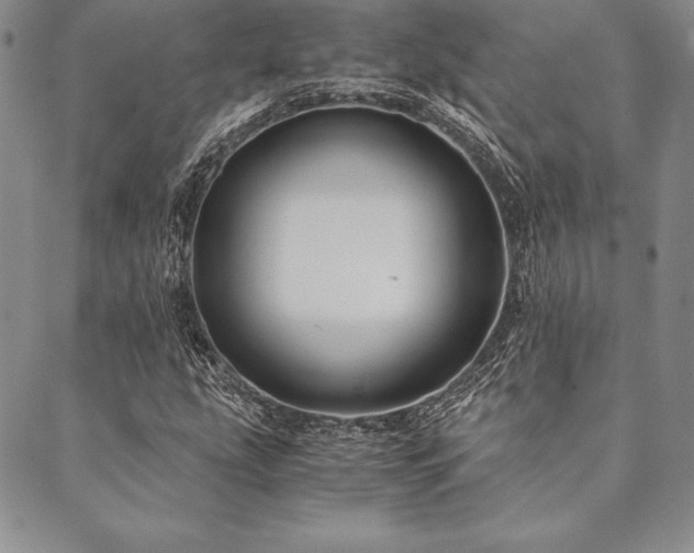 X0000090491207200707131319