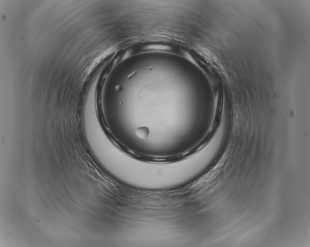 X0000090491210200707131319