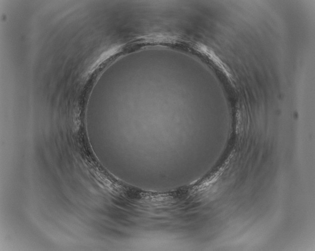 X0000090491213200707131319