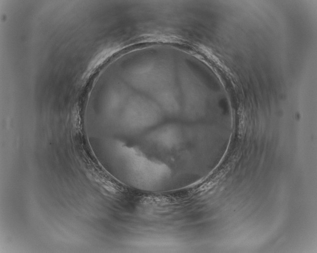 X0000090491215200707131319