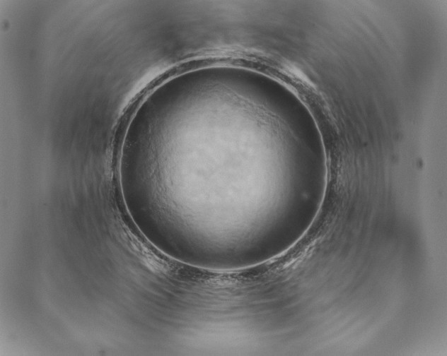 X0000090491216200707131319