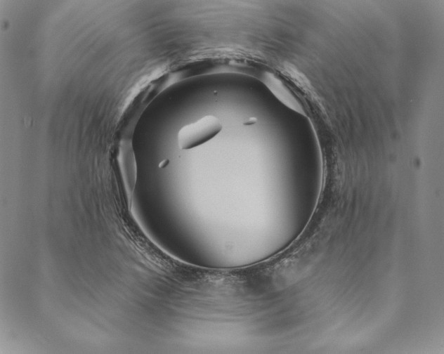 X0000090491218200707131319