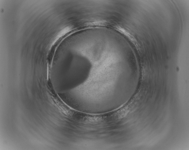 X0000090491219200707131319