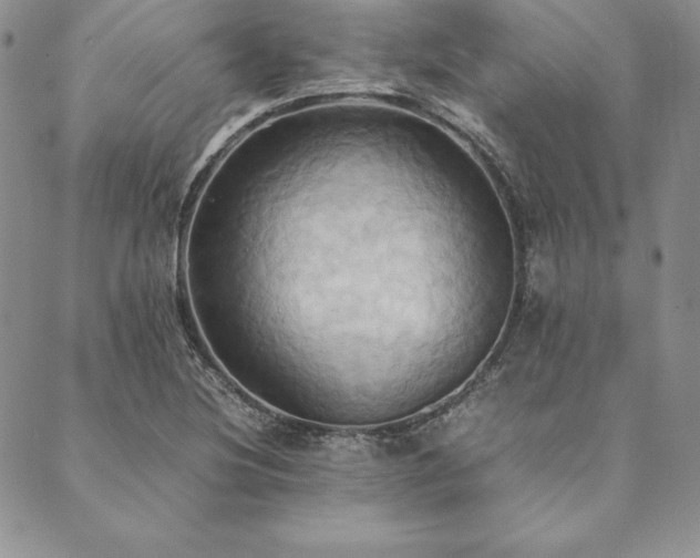 X0000090491220200707131319