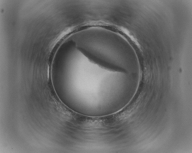 X0000090491221200707131319