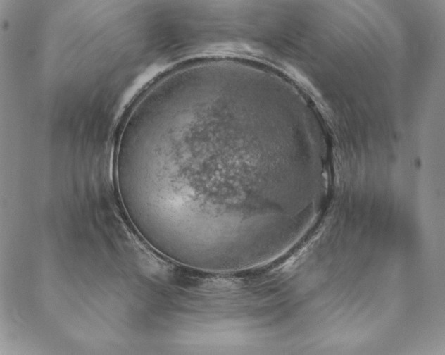 X0000090491224200707131319