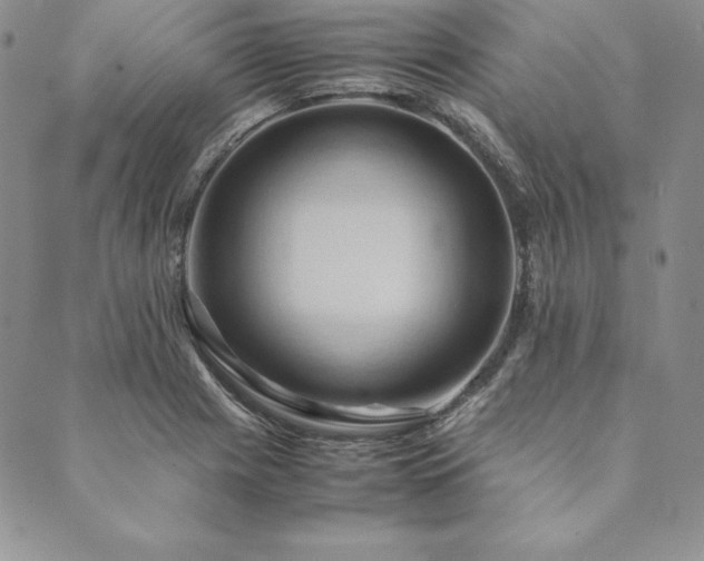 X0000090491225200707131319