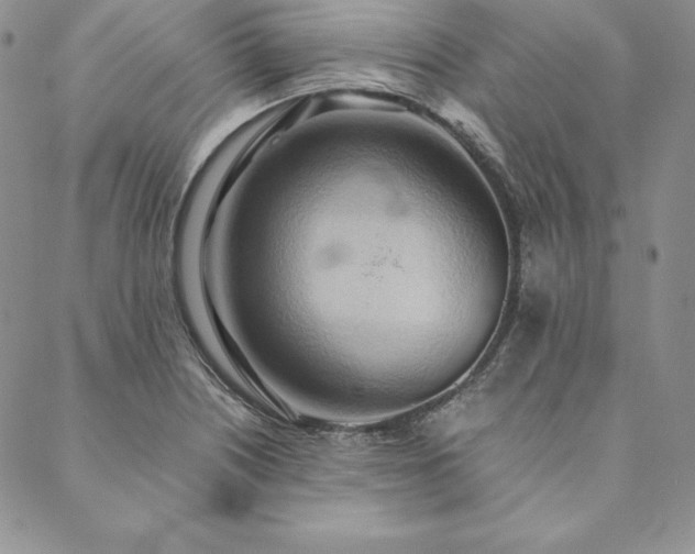 X0000090491226200707131319