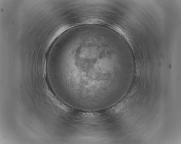 X0000090491227200707131319
