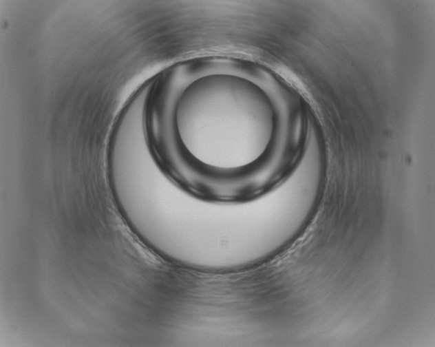 X0000090491230200707131319