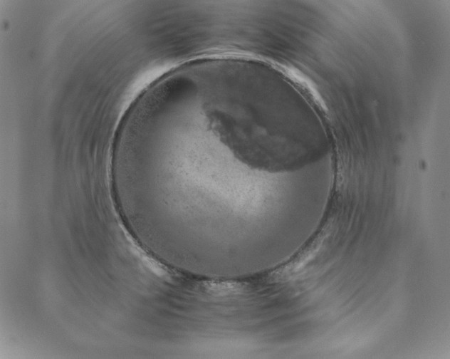 X0000090491231200707131319