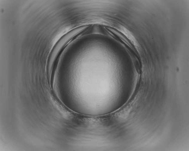 X0000090491234200707131319