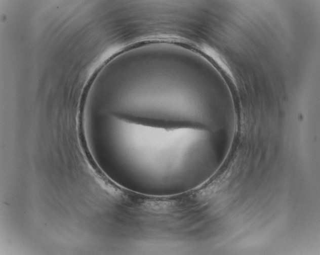 X0000090491237200707131319