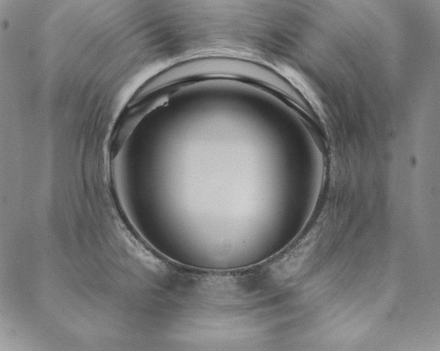 X0000090491238200707131319