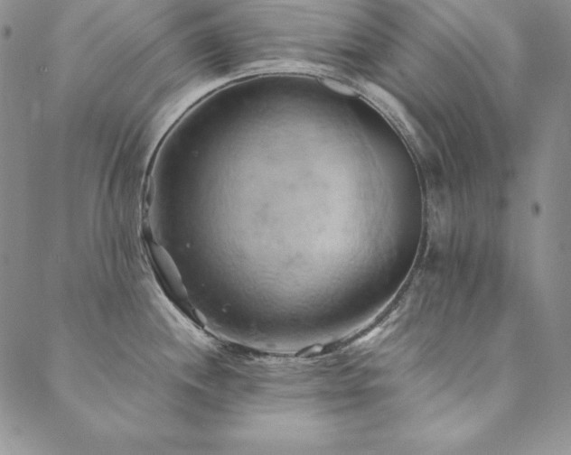 X0000090491244200707131319