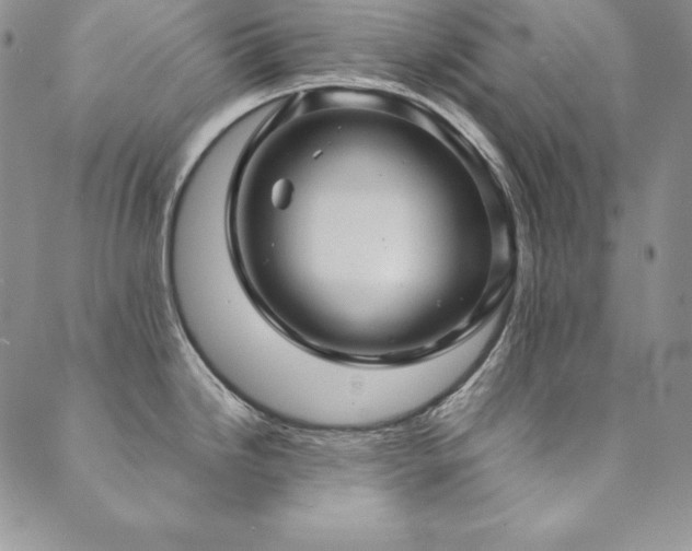 X0000090491246200707131319