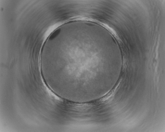 X0000090491247200707131319
