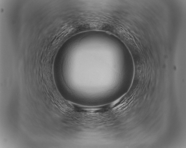 X0000090491249200707131319