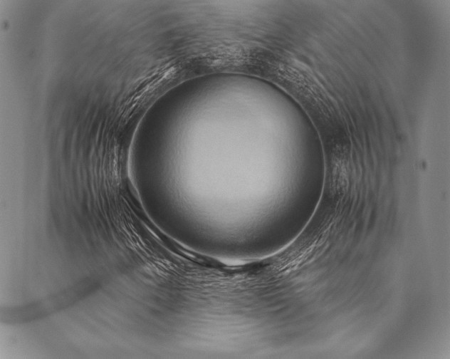 X0000090491250200707131319