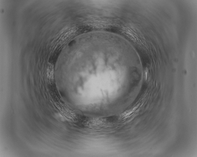 X0000090491251200707131318