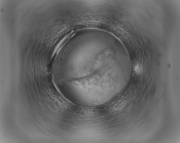 X0000090491252200707131318