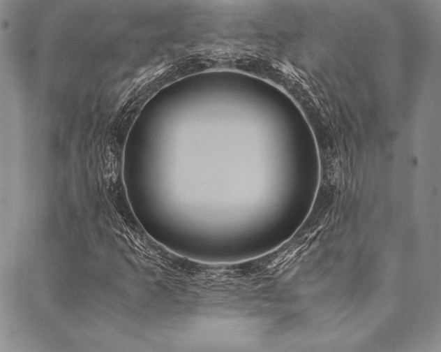 X0000090491253200707131318