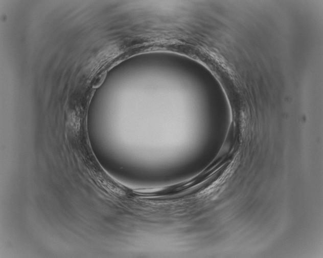 X0000090491257200707131318