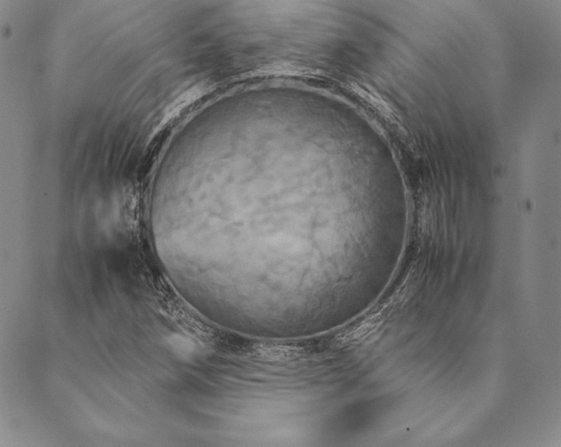 X0000090491258200707131318