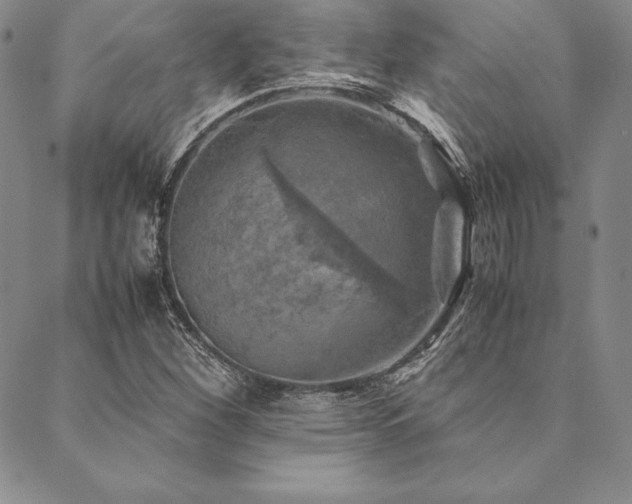 X0000090491260200707131318