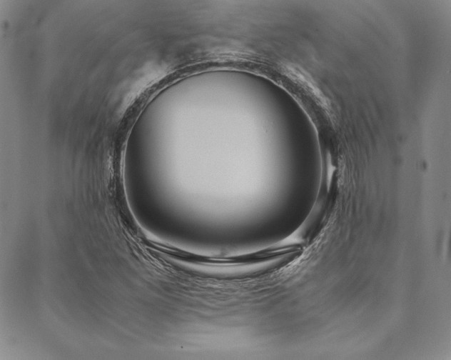 X0000090491261200707131318