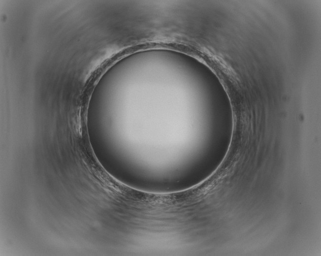 X0000090491262200707131318