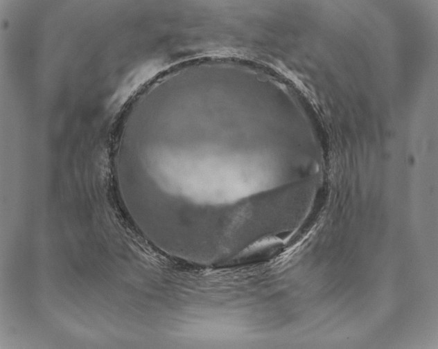 X0000090491263200707131318