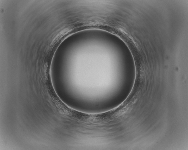 X0000090491265200707131318