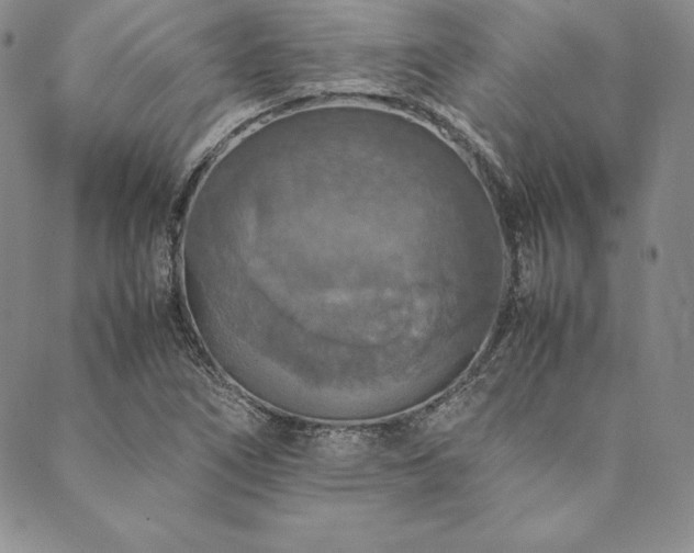 X0000090491266200707131318