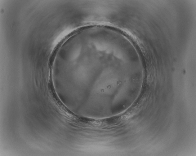 X0000090491271200707131318