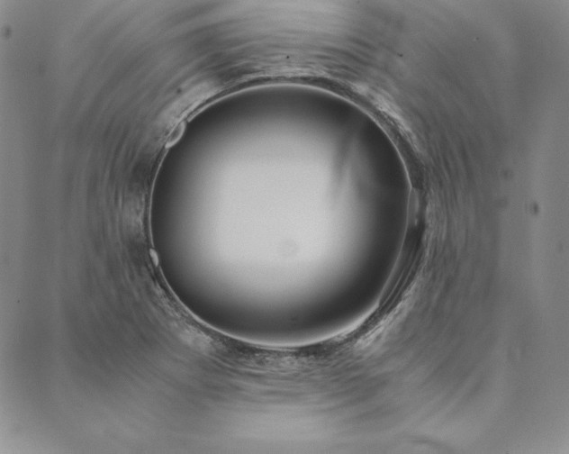 X0000090491273200707131318