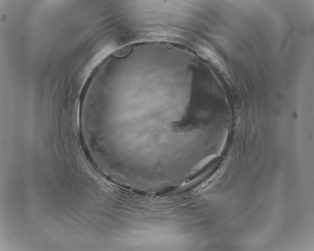 X0000090491275200707131318