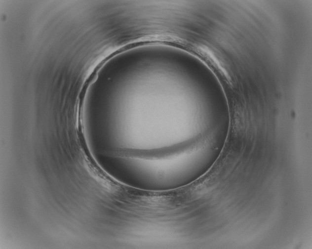 X0000090491276200707131318