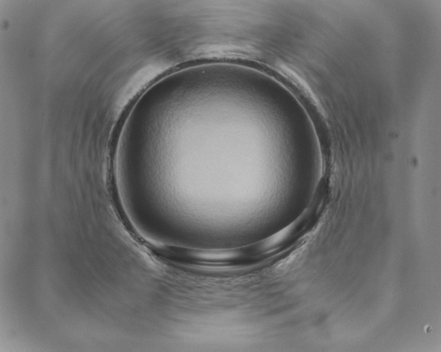 X0000090491277200707131318
