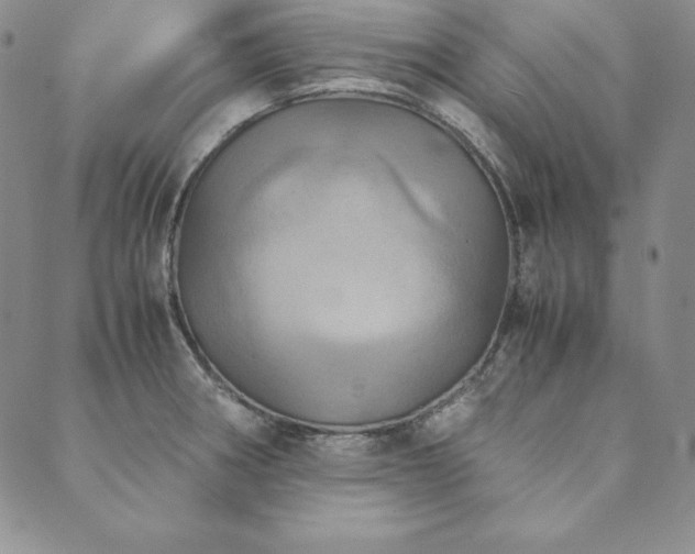X0000090491282200707131318