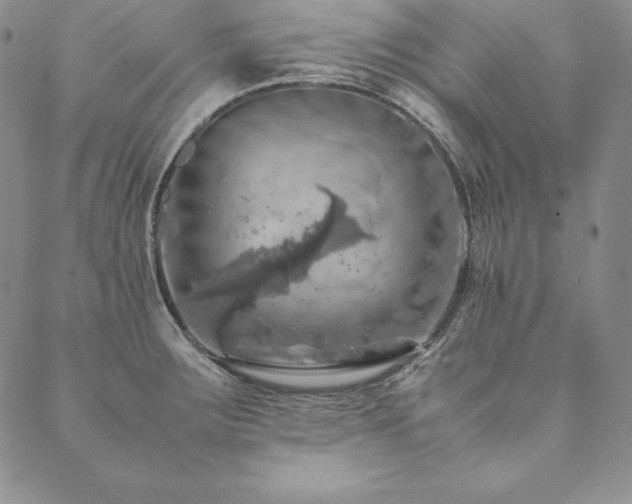 X0000090491283200707131318