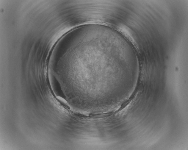 X0000090491284200707131318