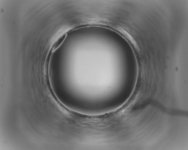 X0000090491285200707131318