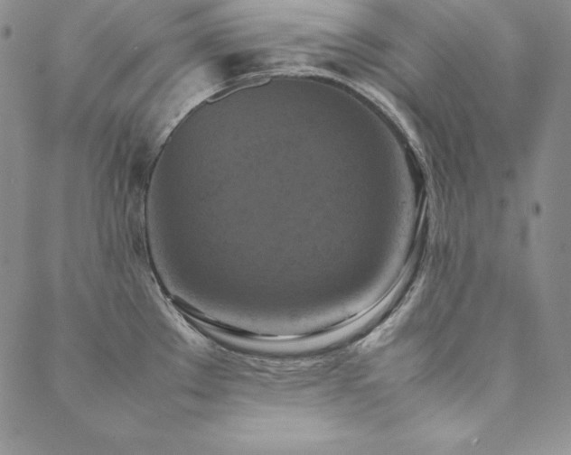 X0000090491289200707131318
