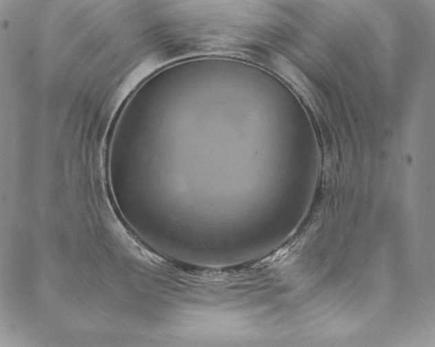 X0000090491291200707131318
