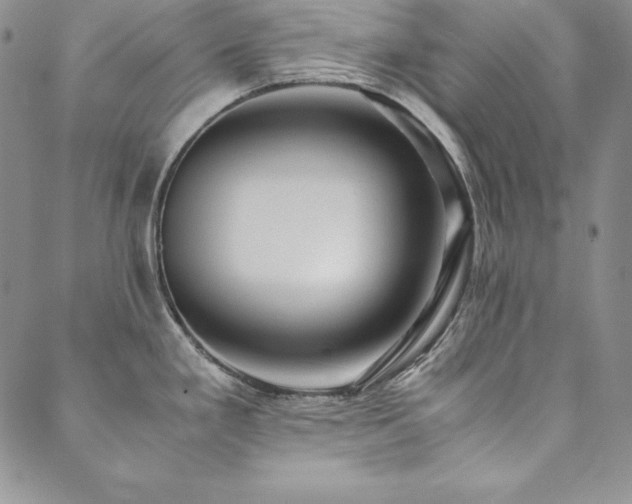 X0000090491293200707131318