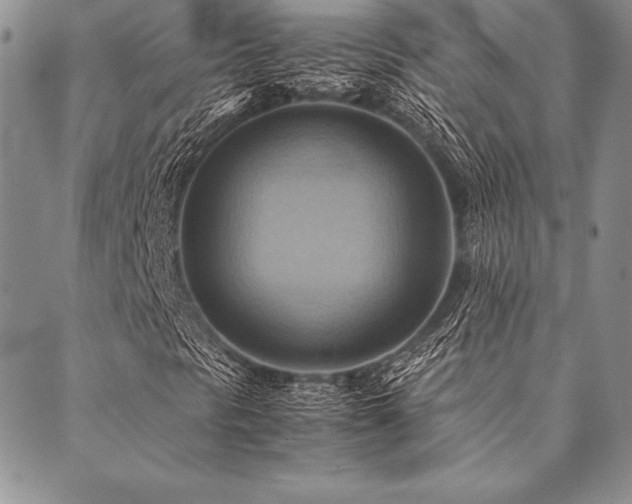 X0000090491297200707131317
