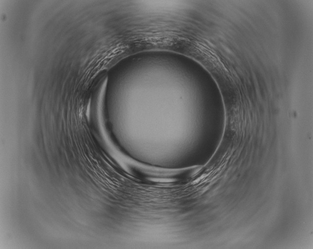 X0000090491298200707131317